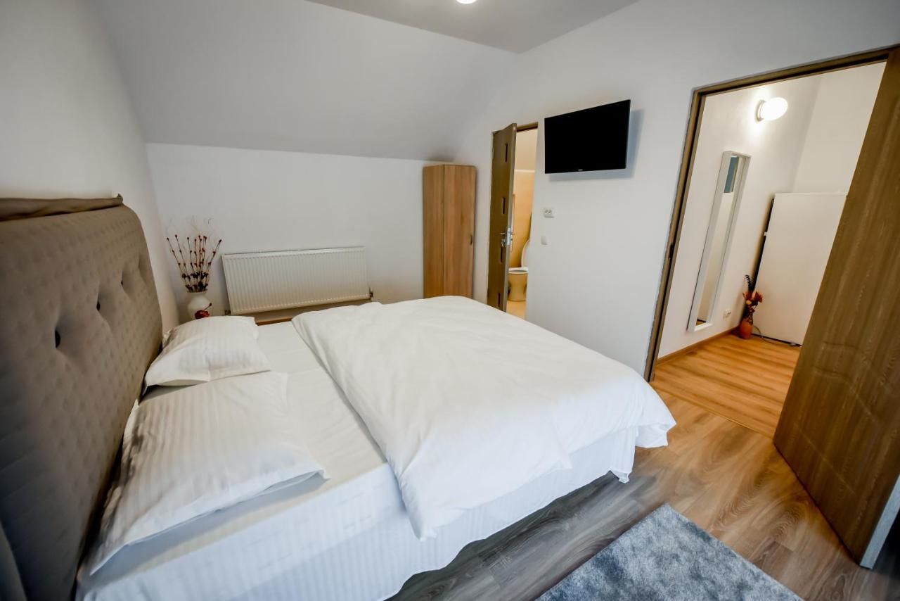 Дома для отпуска Casa Ana Кэлимэнешти-13
