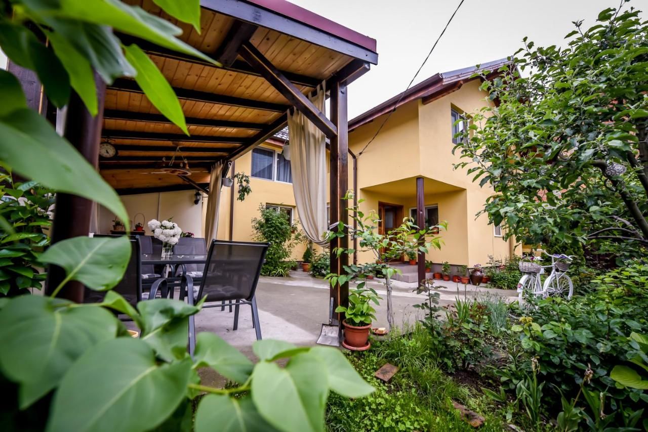 Дома для отпуска Casa Ana Кэлимэнешти-18