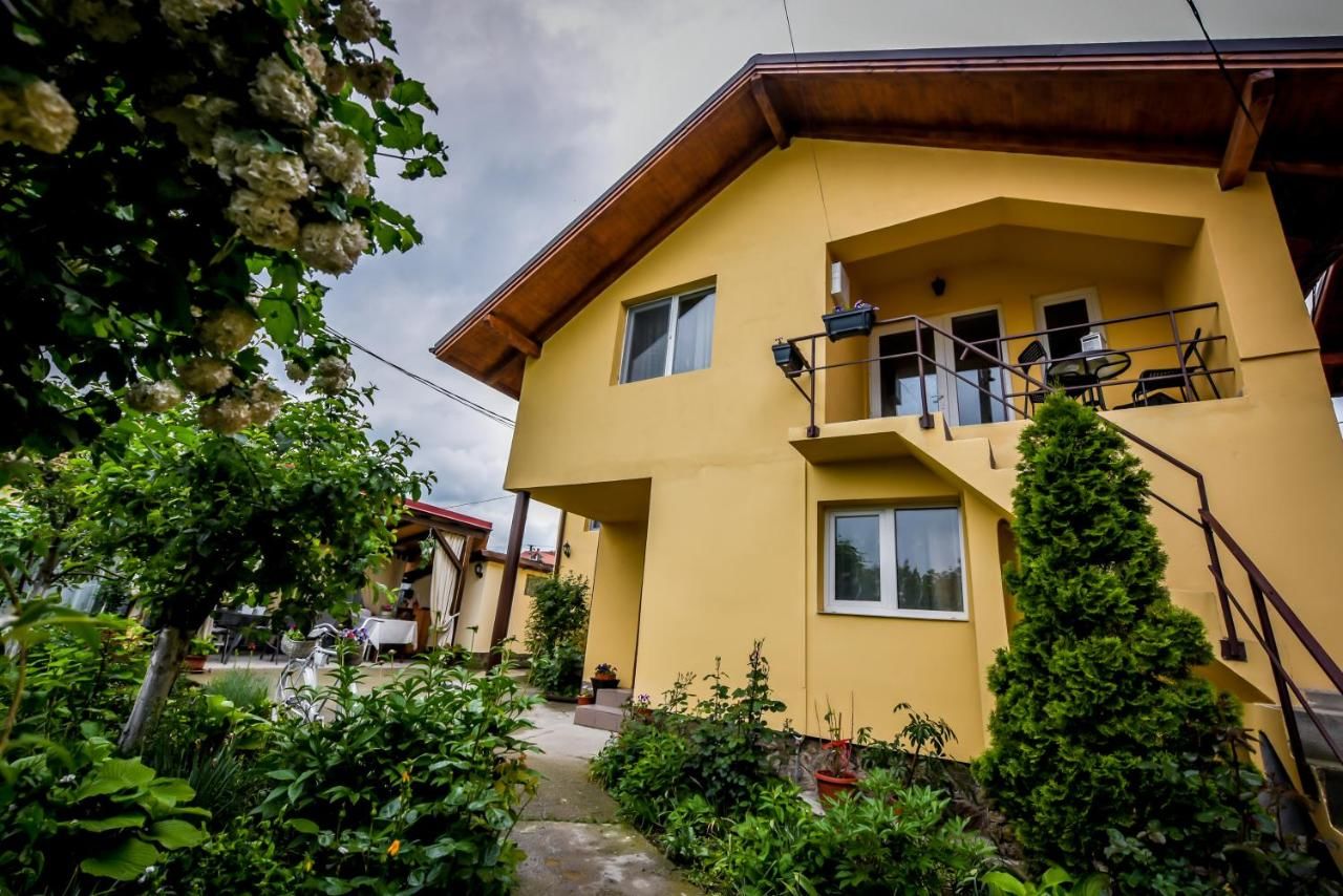 Дома для отпуска Casa Ana Кэлимэнешти-19