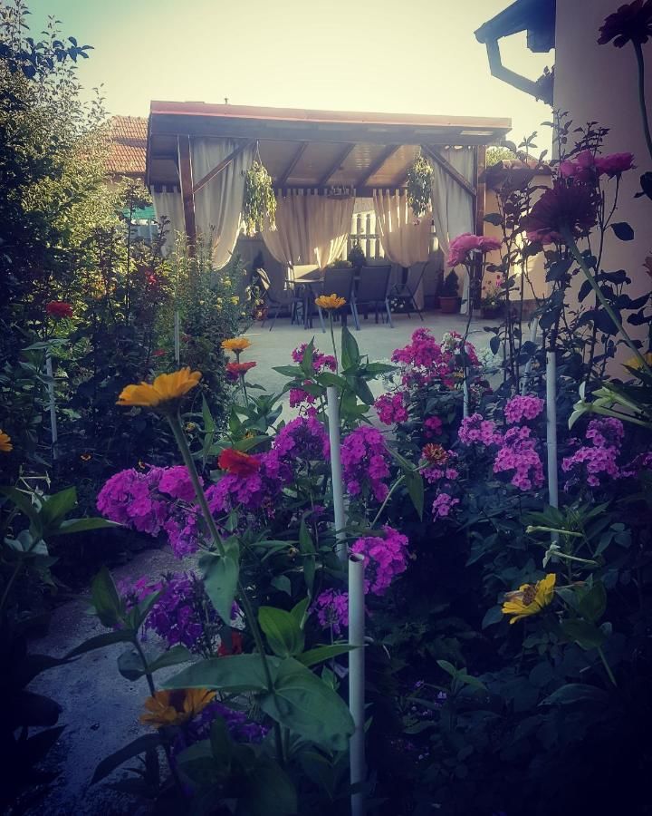 Дома для отпуска Casa Ana Кэлимэнешти-23