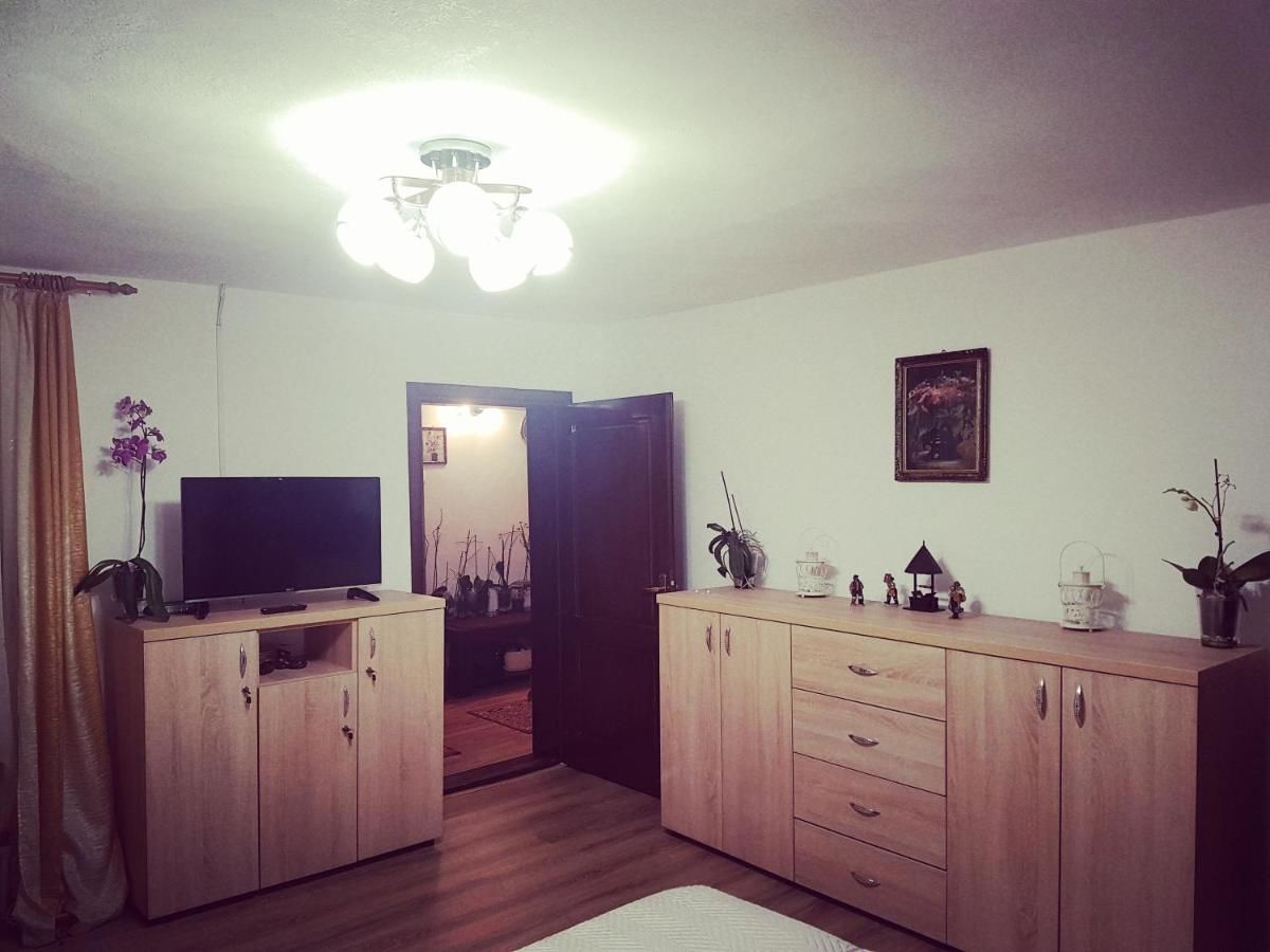 Дома для отпуска Casa Ana Кэлимэнешти-24