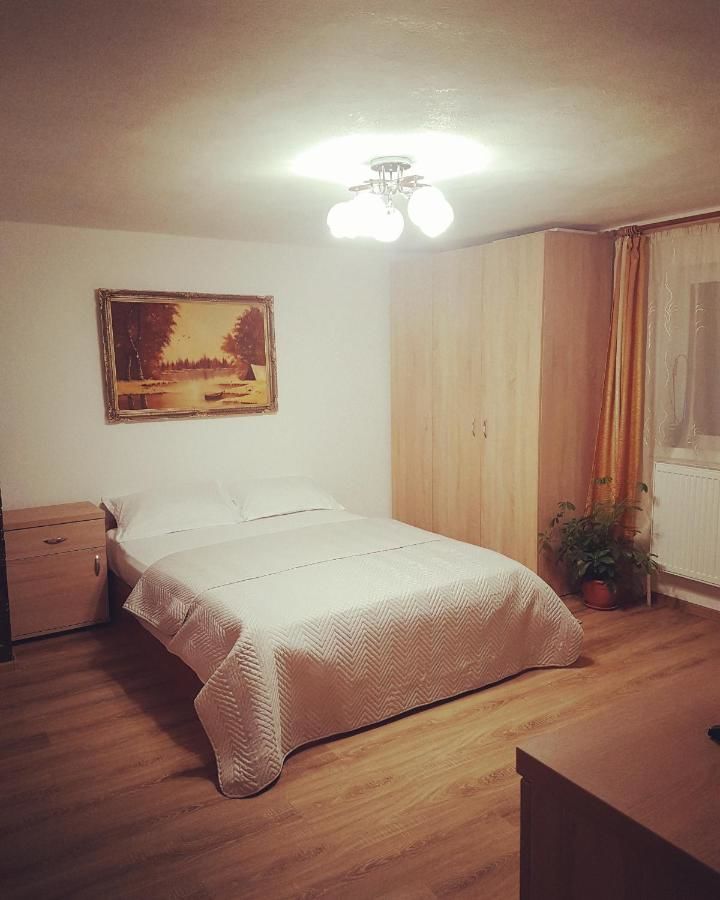 Дома для отпуска Casa Ana Кэлимэнешти-25