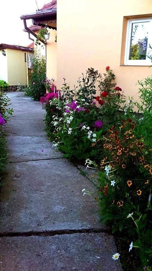 Дома для отпуска Casa Ana Кэлимэнешти-29