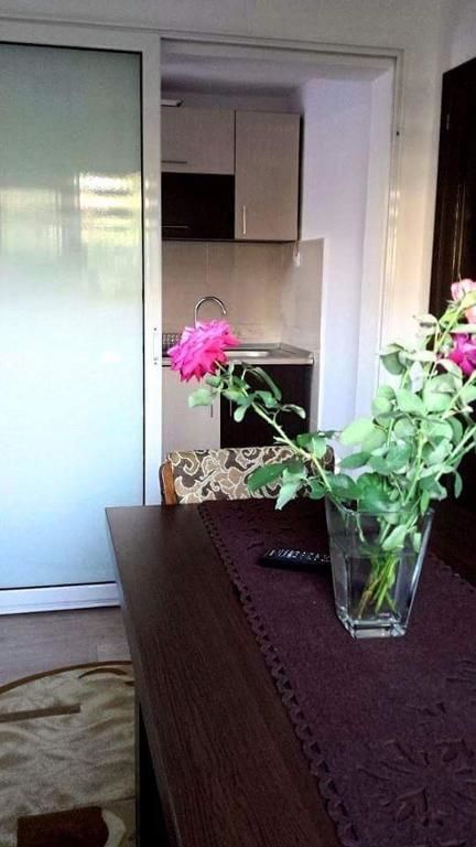 Дома для отпуска Casa Ana Кэлимэнешти-35
