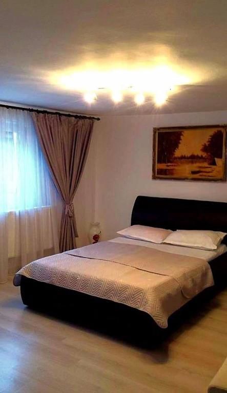 Дома для отпуска Casa Ana Кэлимэнешти-42